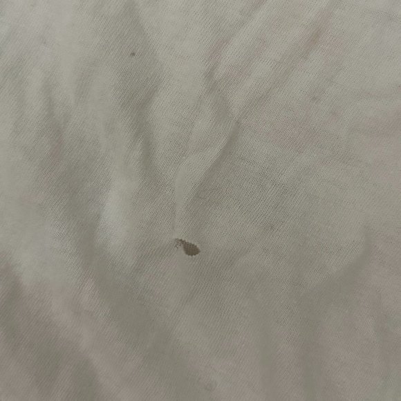 Rare VTG 1977 Charlie Daniels Band Ringer Tee – Willie Nelson - Canyon TX - L - Picture 4 of 9